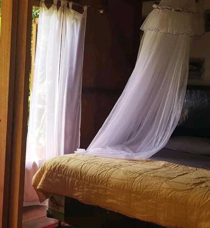 Thousand Hills Ketambe ,Room And Treking Lhokuenam Exterior photo