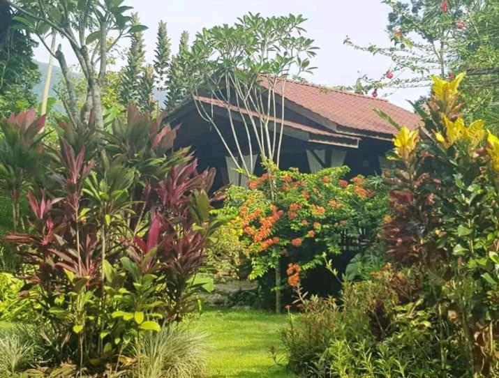 Thousand Hills Ketambe ,Room And Treking Lhokuenam Exterior photo